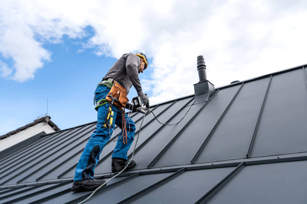 Best Flat Roofing  in Riverdale, IL