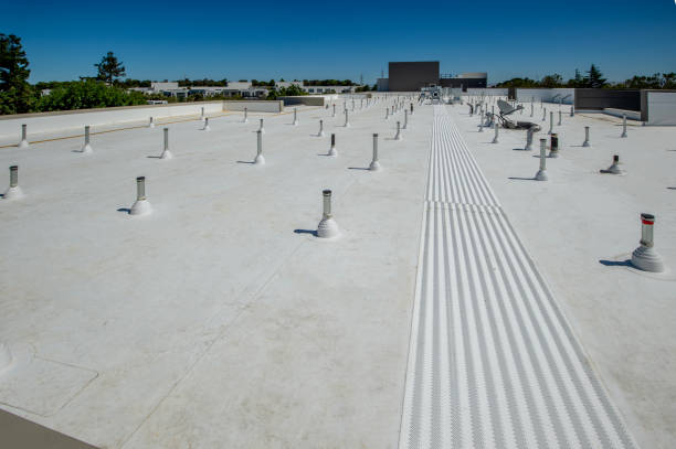 Best Rubber Roofing (EPDM, TPO)  in Riverdale, IL